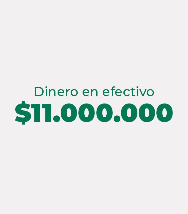 ONCE MILLONES PESOS ($11.000.000,00)