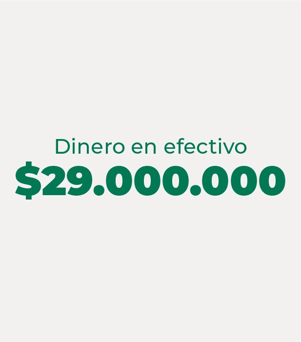 VEINTINUEVE MILLONES PESOS ($29.000.000,00)