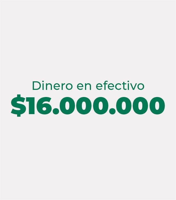 DIECISEIS MILLONES PESOS ($16.000.000,00)