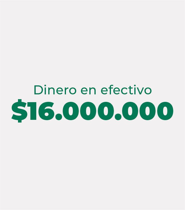 DIECISEIS MILLONES PESOS ($16.000.000,00)