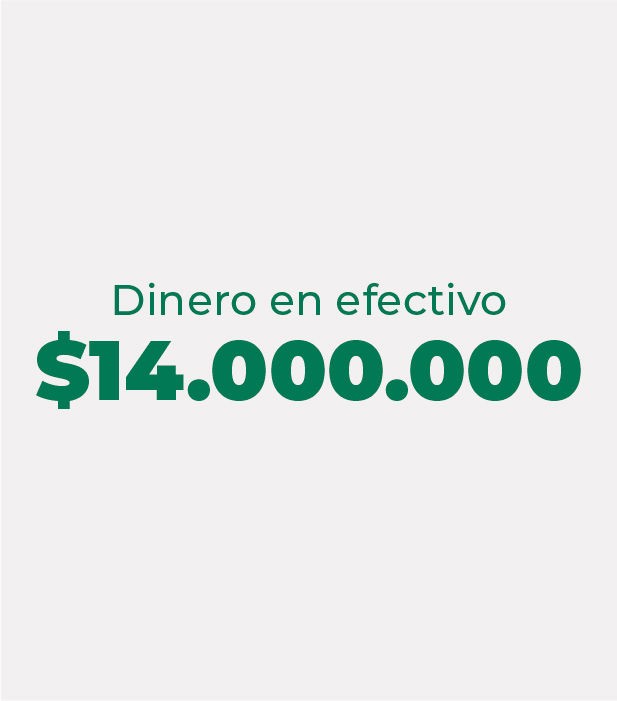 CATORCE MILLONES PESOS ($14.000.000,00)