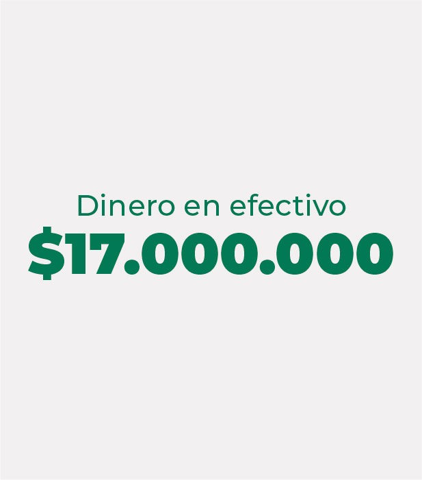 DIECISIETE MILLONES PESOS ($17.000.000,00)